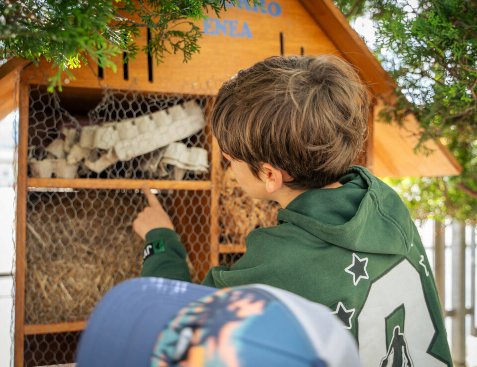 Ikasleak oiloak zaintzen